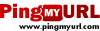 Ping Website